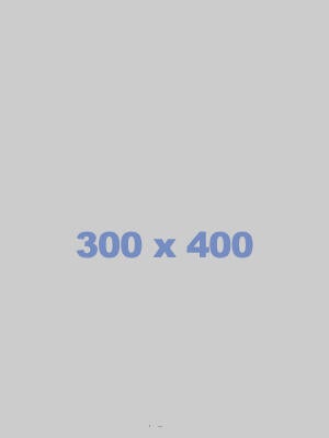 300x400.jpg