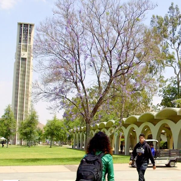 UCR: A Day In The Life – Melissa