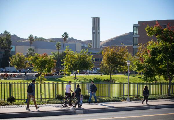 I view into UCR's campus from Canyon Crest, looking towards the Bell Tower in the distance.